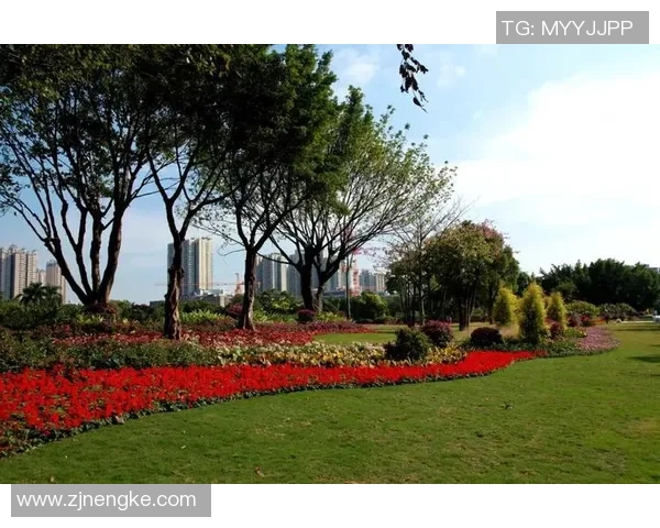 十五运热评｜“深圳军团”拼出城市风貌